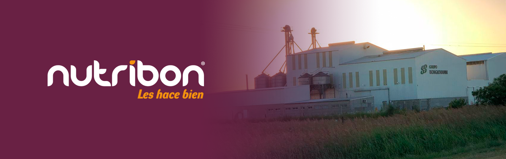empresa y fabrica nutribon alimento para mascotas empresa y fabrica nutribon alimento para mascotas