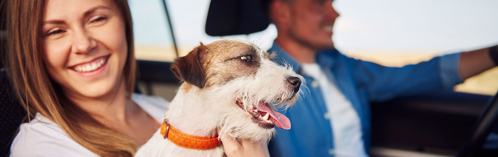 Viajar con mascotas, algunas recomendaciones Viajar con mascotas, algunas recomendaciones